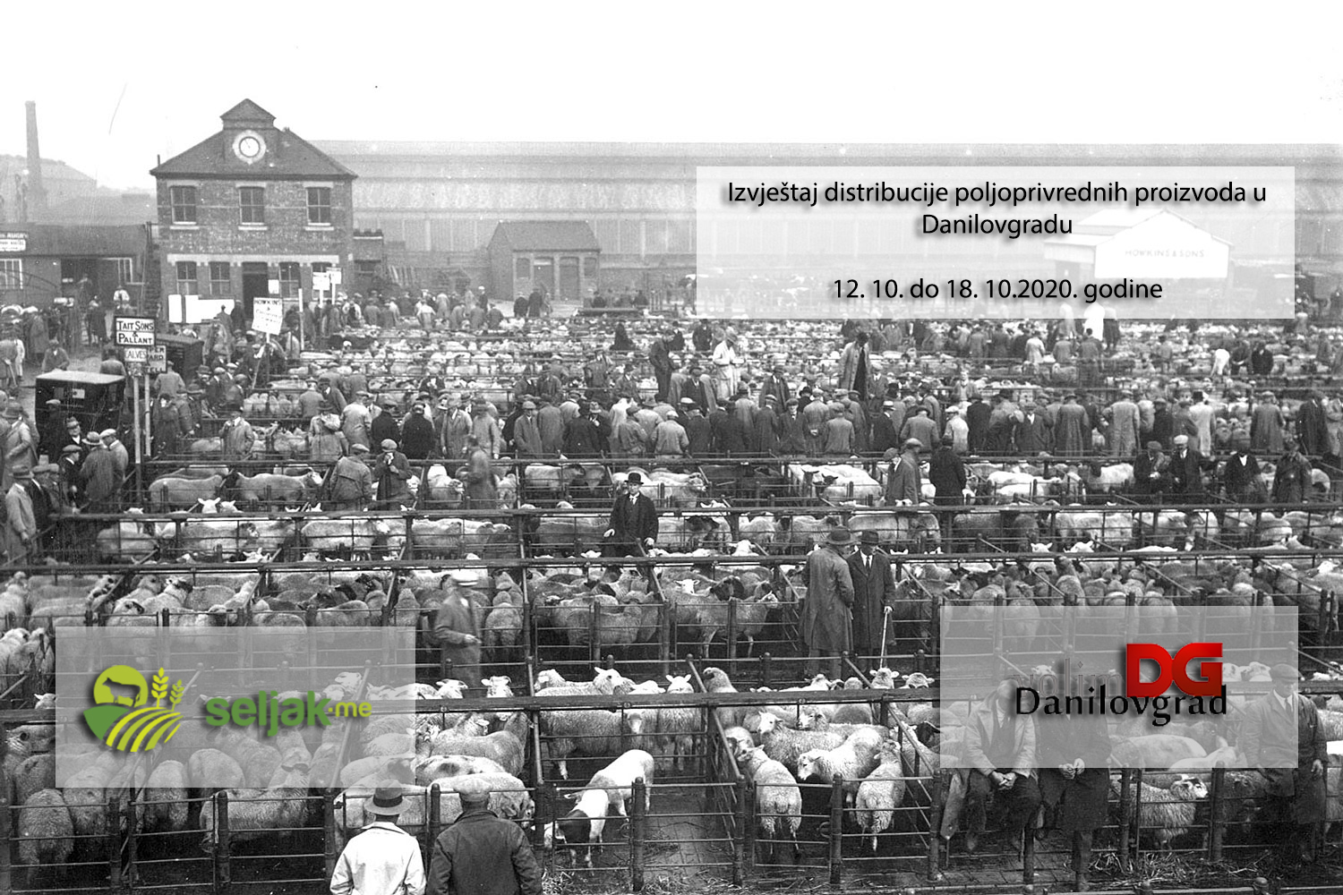 Izvještaj distribucije poljoprivrednih proizvoda u Danilovgradu