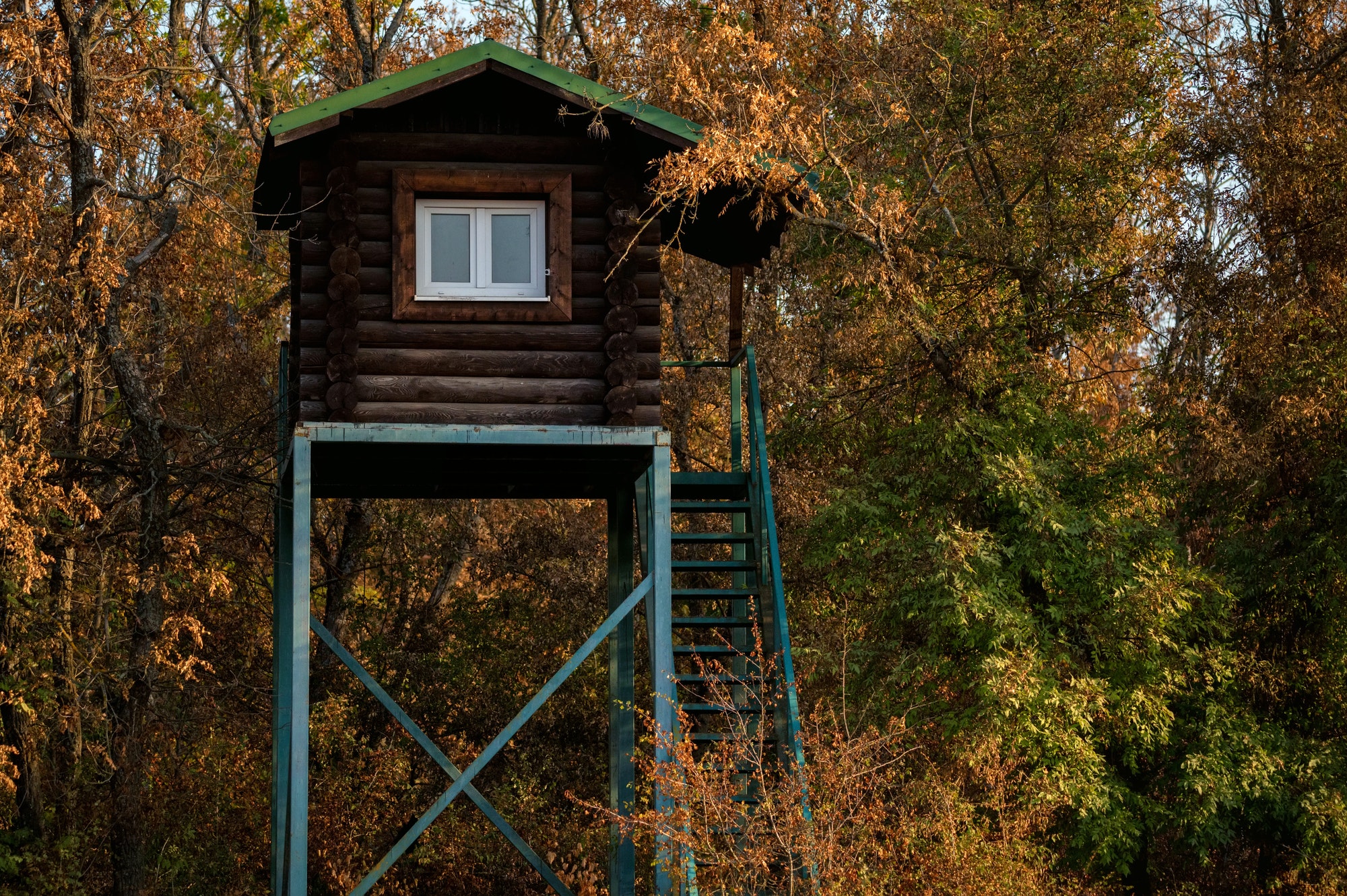 Close up of hunting tower in autumn forest