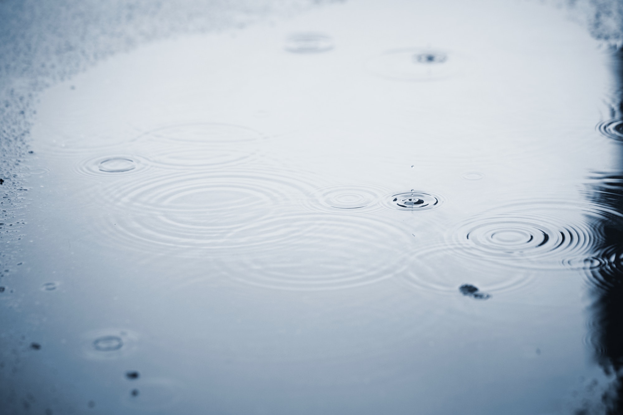 Rain