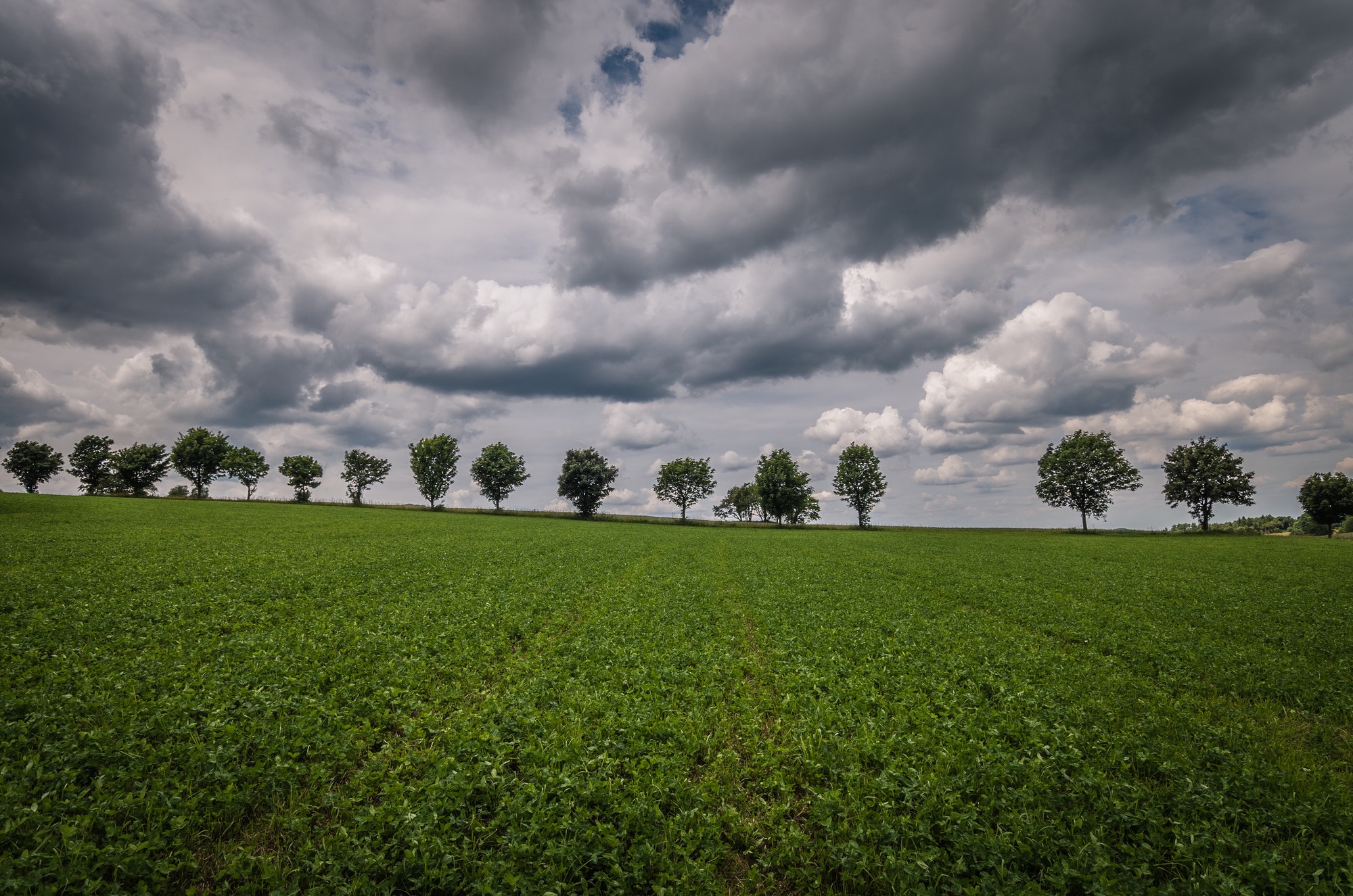 Cloudy today