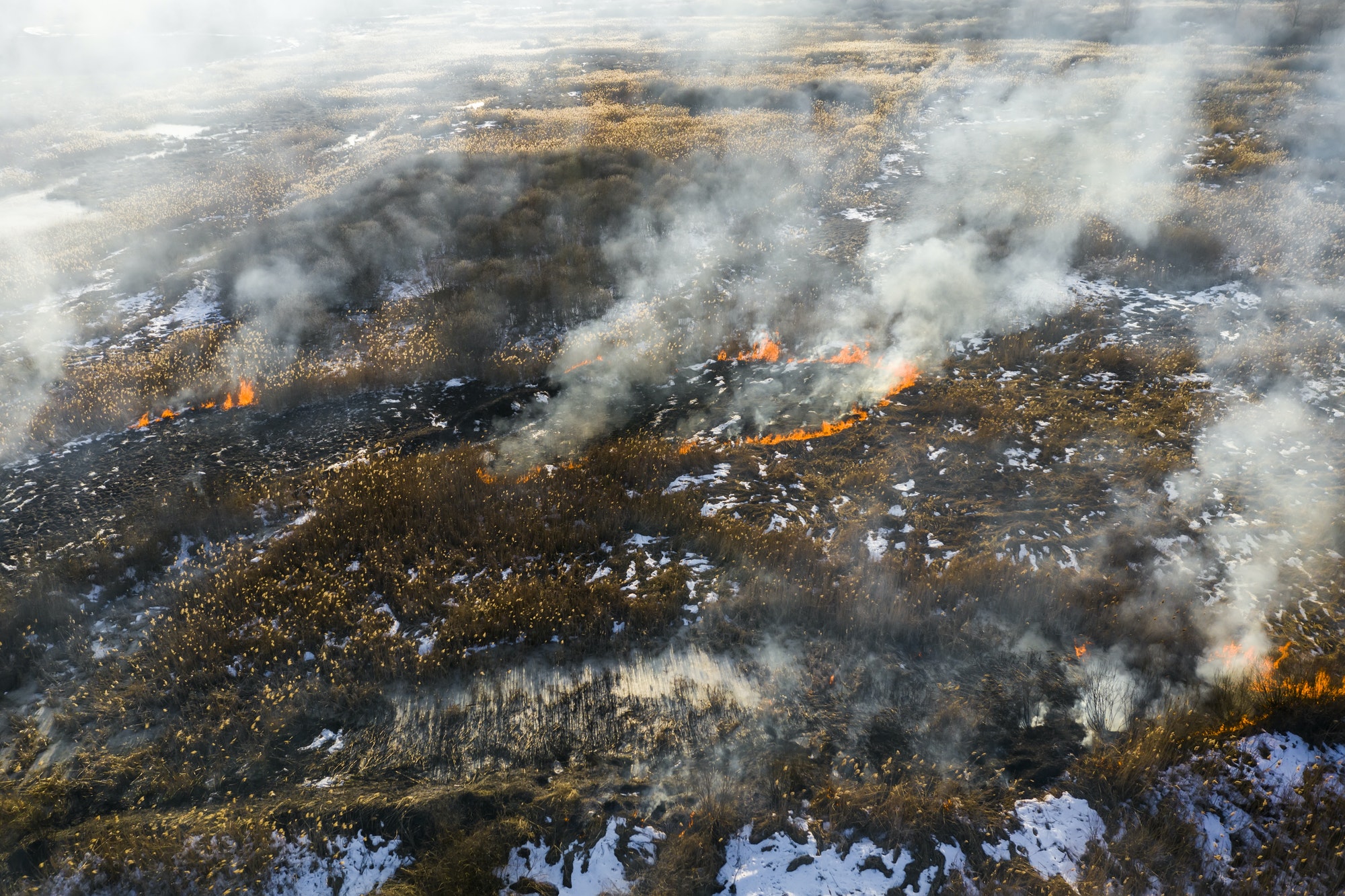 Aerial view of wildfire on the field. Huge clouds of smoke