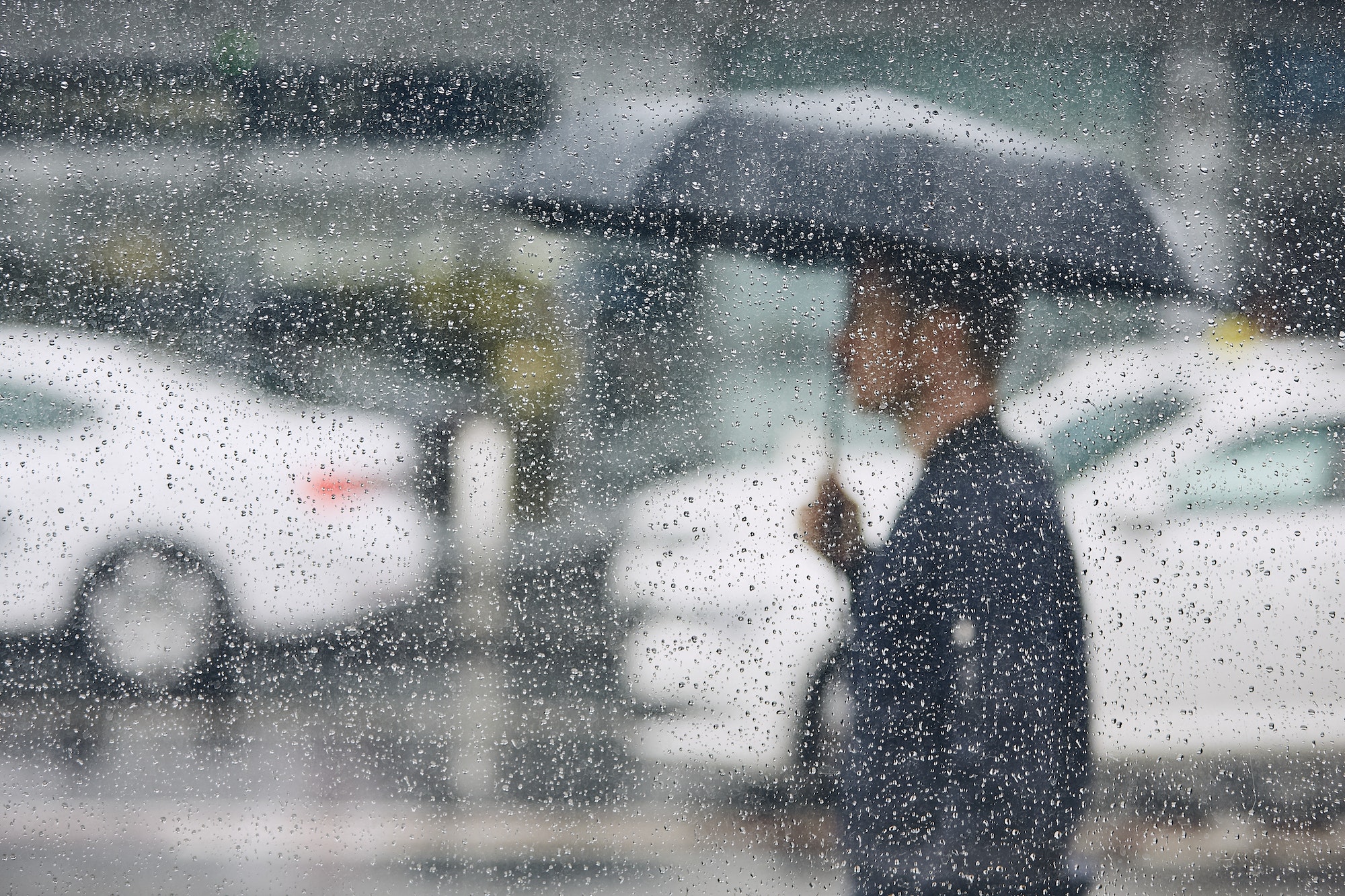Rain in city