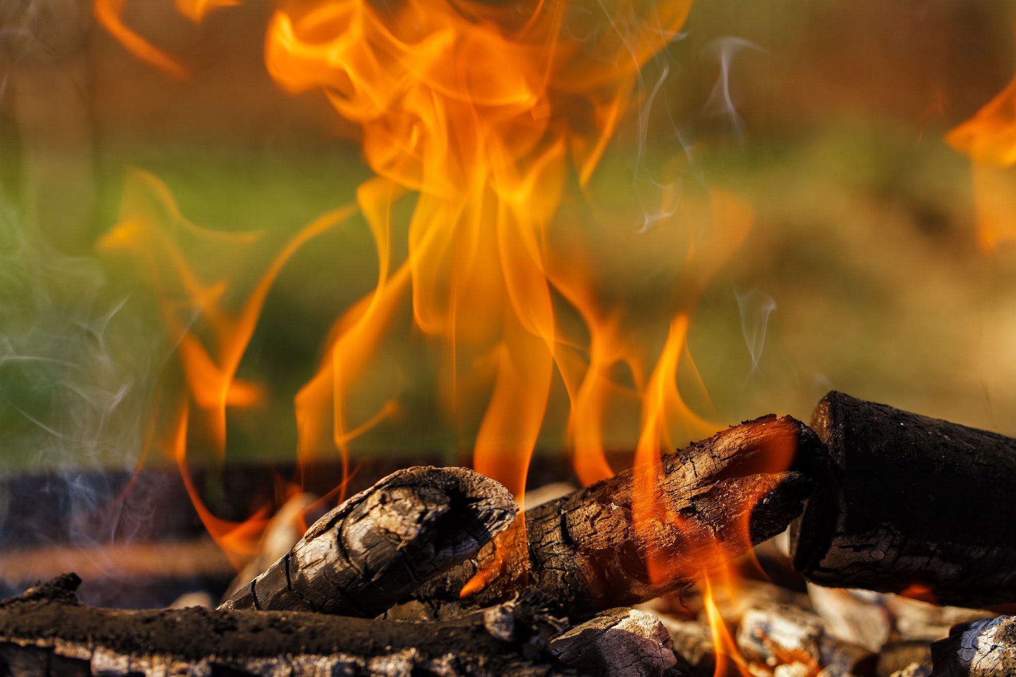 Firewood on the grill burns bright fire