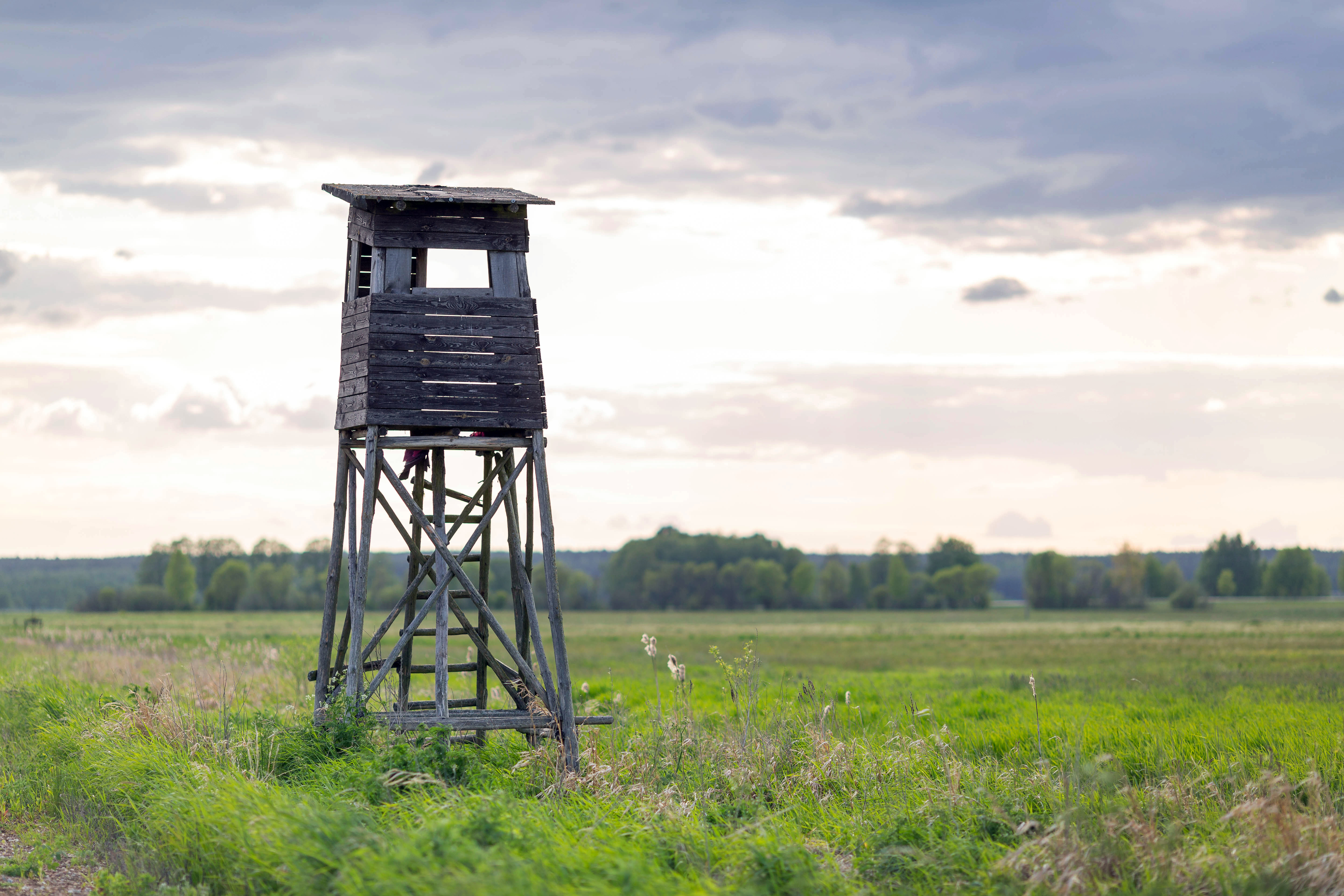Hunting platform
