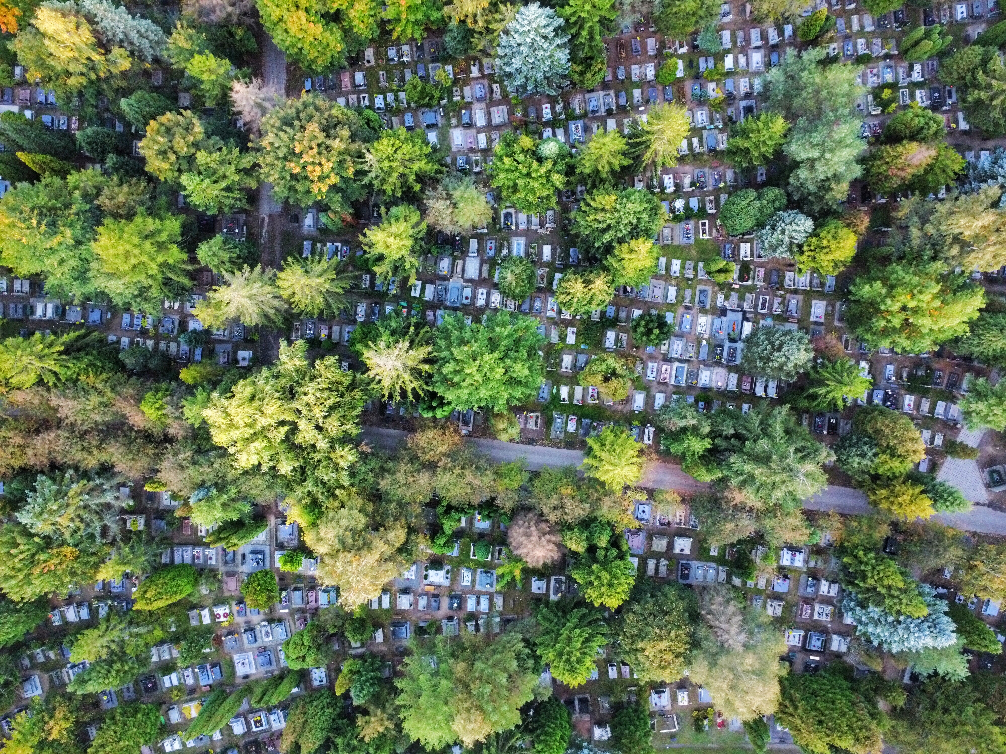 Drone shot of cemetery
