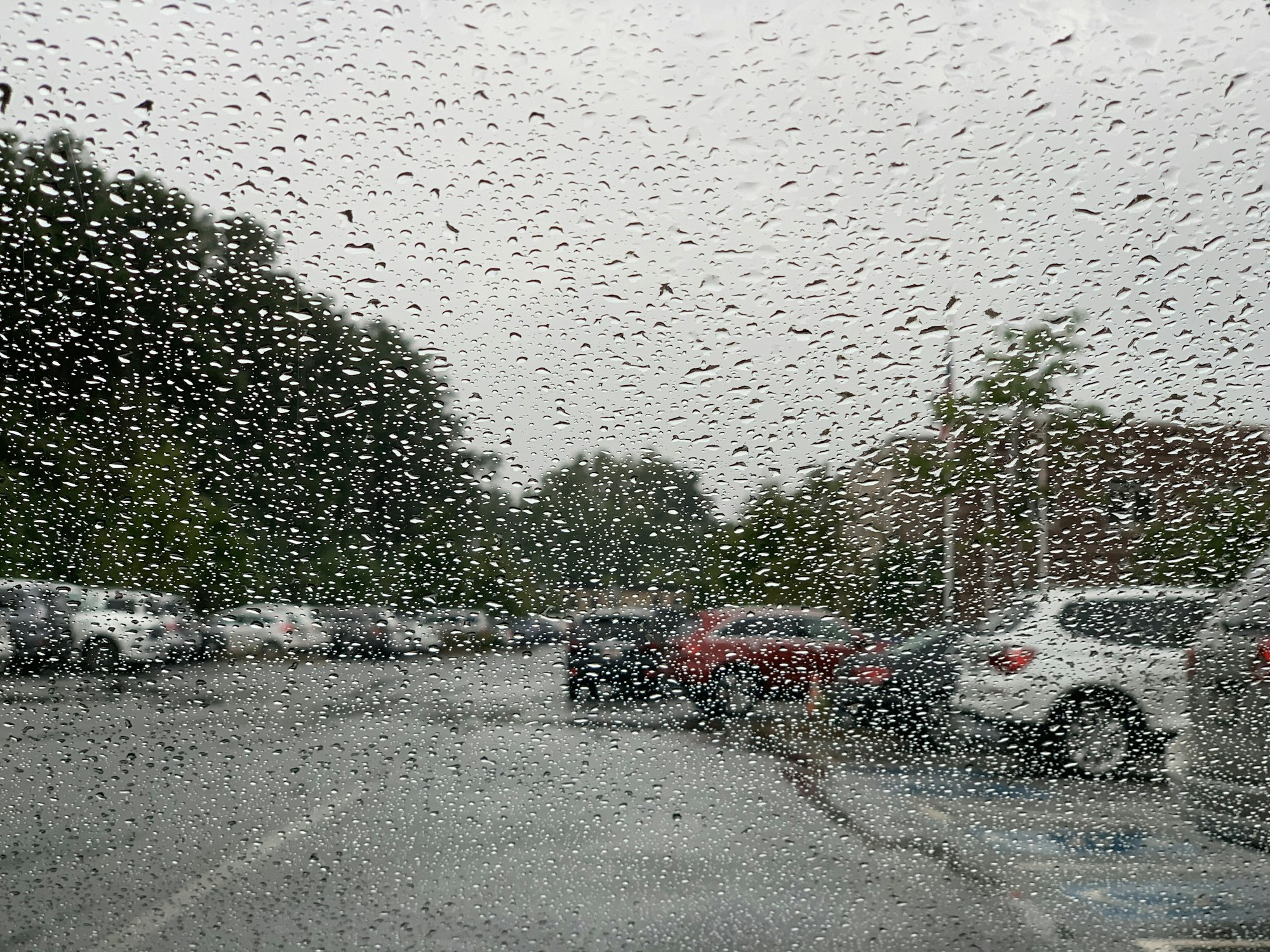Rain 🌧